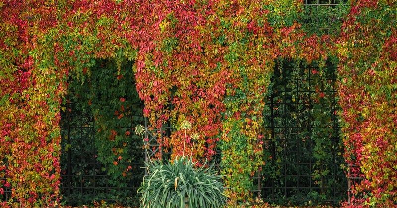 Quelle bâche pour pergola choisir ? Le guide qui change tout