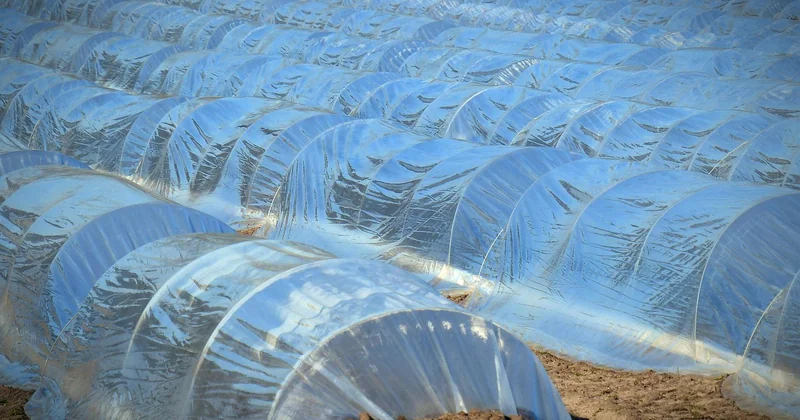 Comment choisir votre bâche plastique en 10 minutes