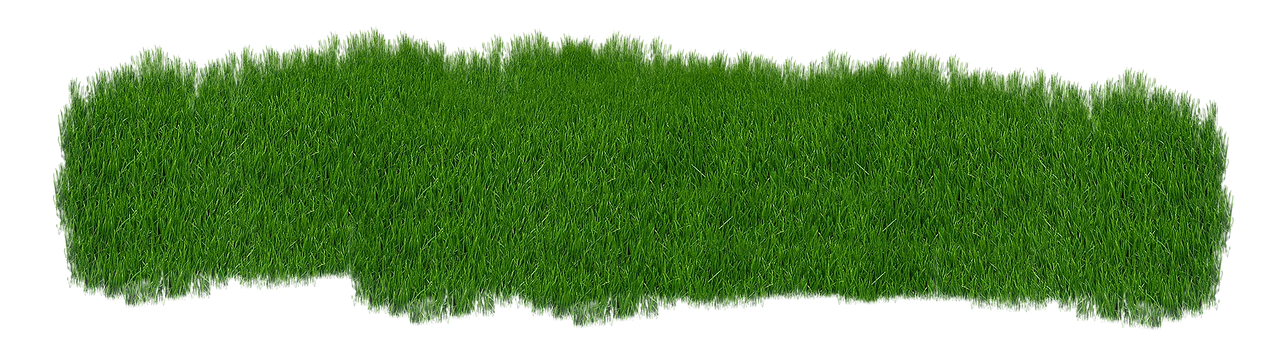 aménagez votre jardin en pente avec des idées de paysagisme adaptées : terrasses, plantations et murs de soutènement pour un espace extérieur harmonieux et esthétique.