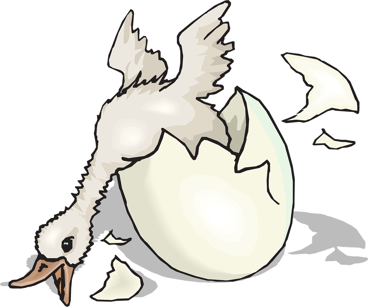 installation de trappe d'inspection esthétique alliant fonctionnalité et design pour un accès discret et élégant.